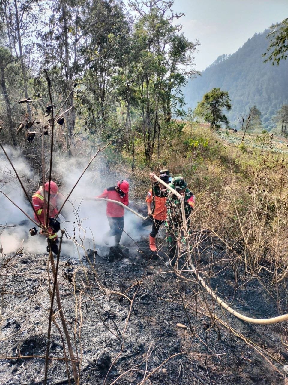 Babinsa Bersama Aparat dan Warga Jinakkan Karhutla 6 Hektare di Pattapang Gowa