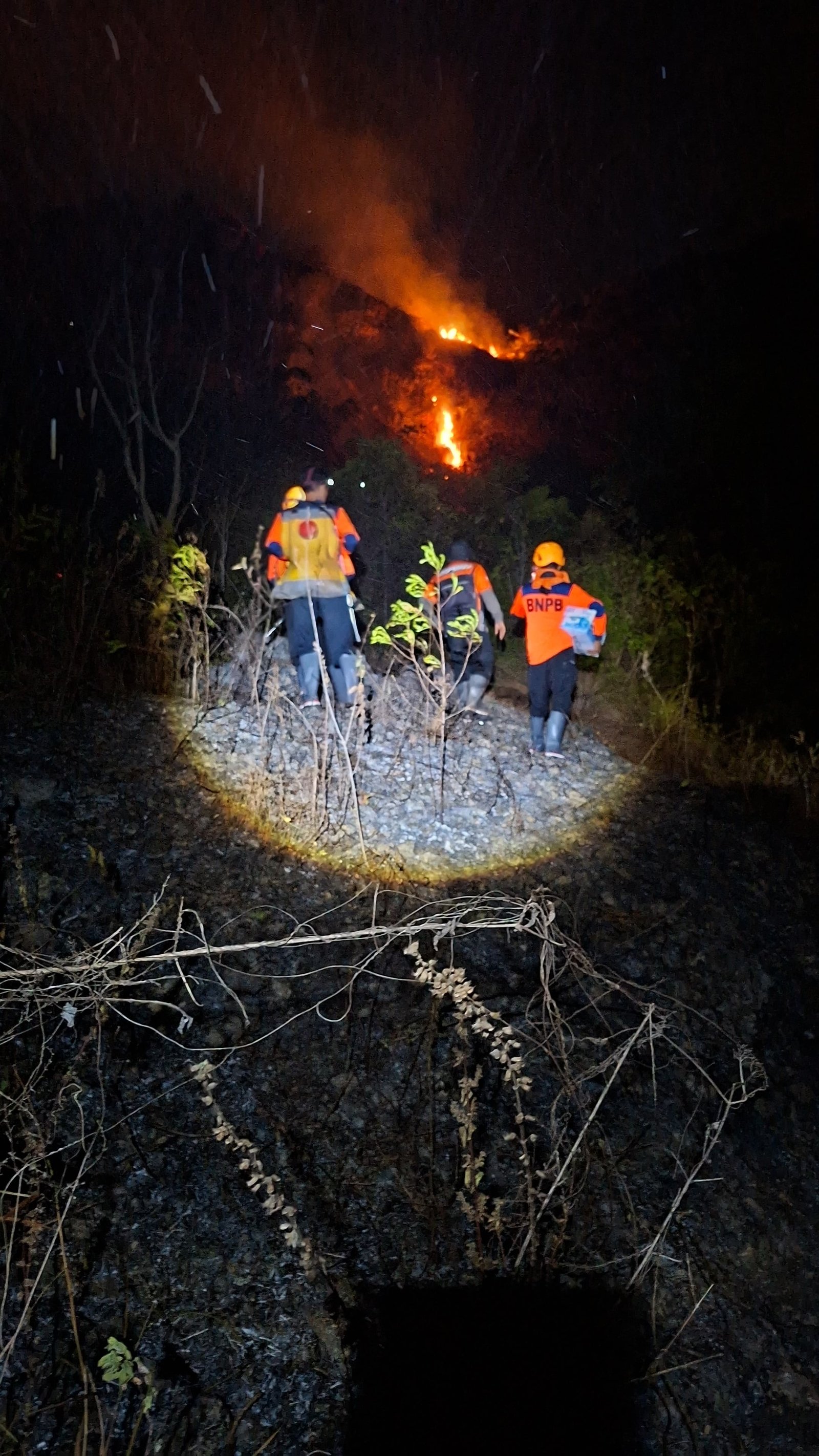 PUNCAK MUSIM KEMARAU BUPATI MENGELUARKAN INSTRUKSI ANTISIPASI DAN PENCEGAHAN KEBAKARAN HUTAN